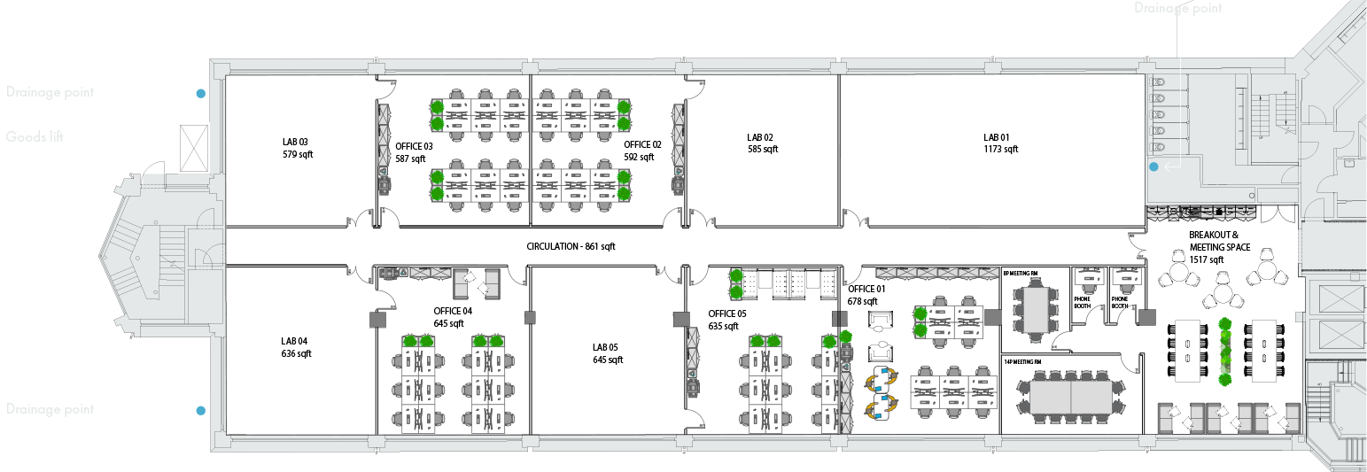 Lab Option 4